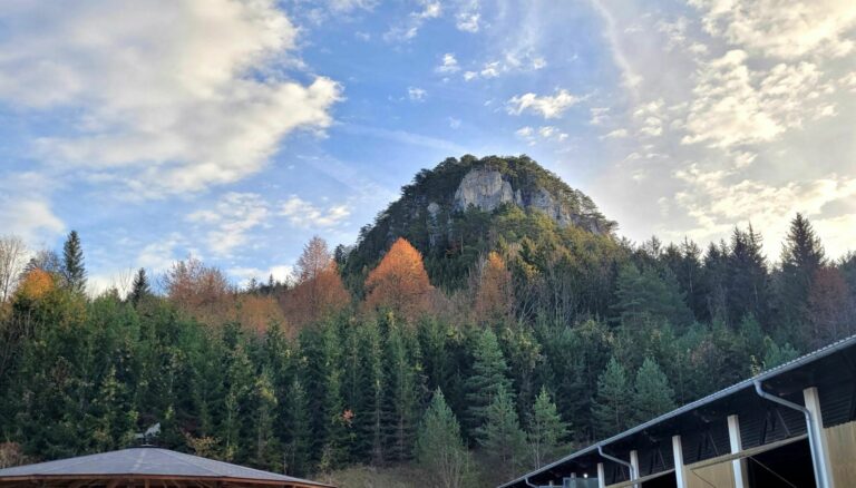 Bal­ber­stei­ne in Mie­sen­bach