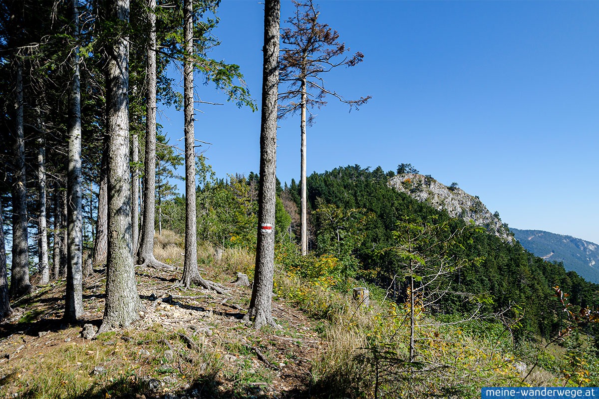 Grünbach am Schneeberg: Geländ — Plackles